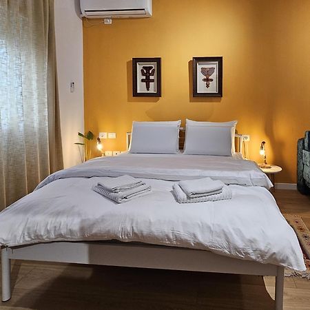 Vibe Studio Apartment ティラナ エクステリア 写真